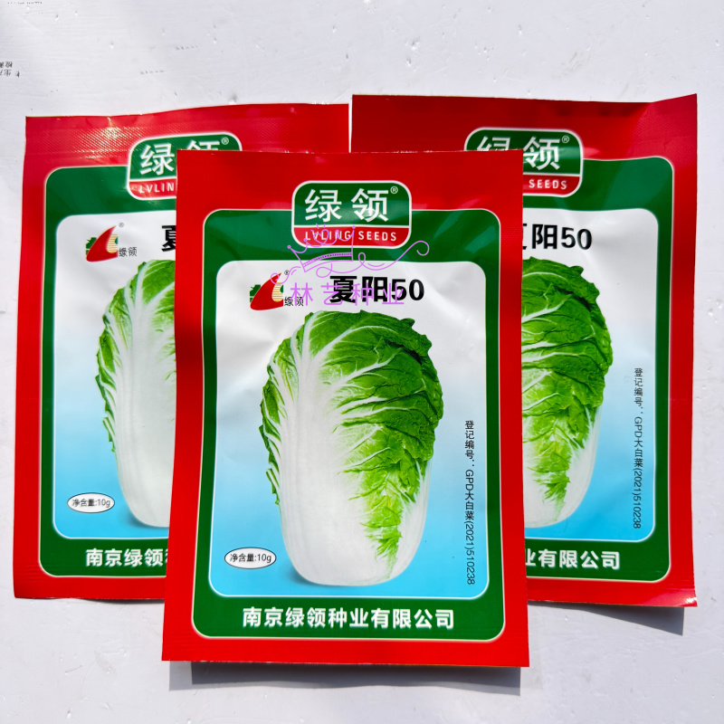 夏阳50大白菜种子耐热夏秋季播种速生50天结球白菜蔬菜种