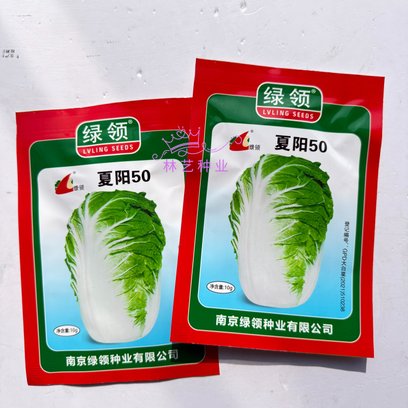 夏阳50大白菜种子耐热夏秋季播种速生50天结球白菜蔬菜种
