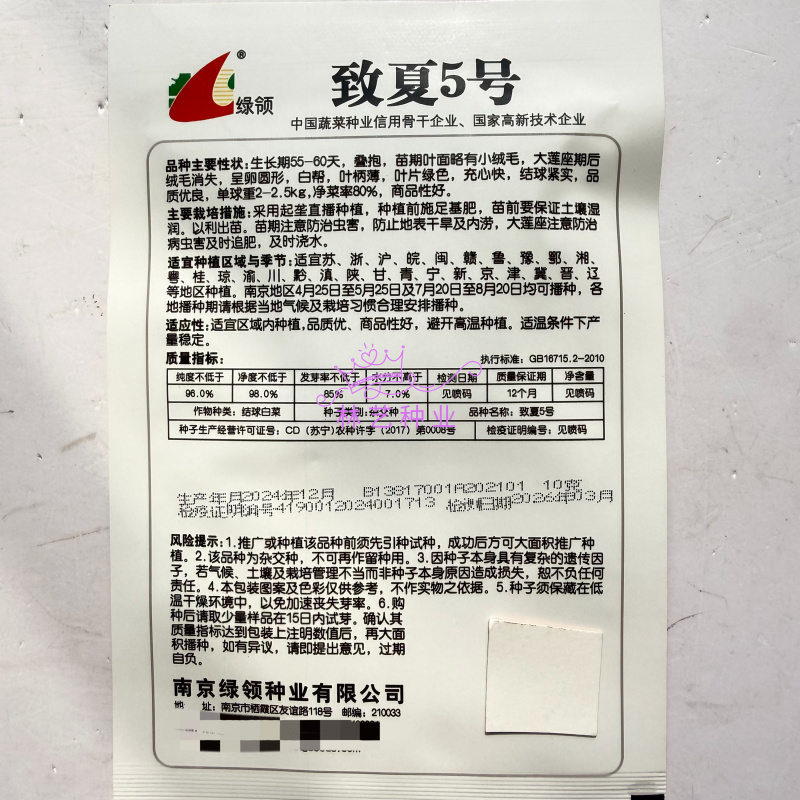 致夏5号白菜种子夏季专用耐热耐湿早熟白帮叠抱结球白菜种籽