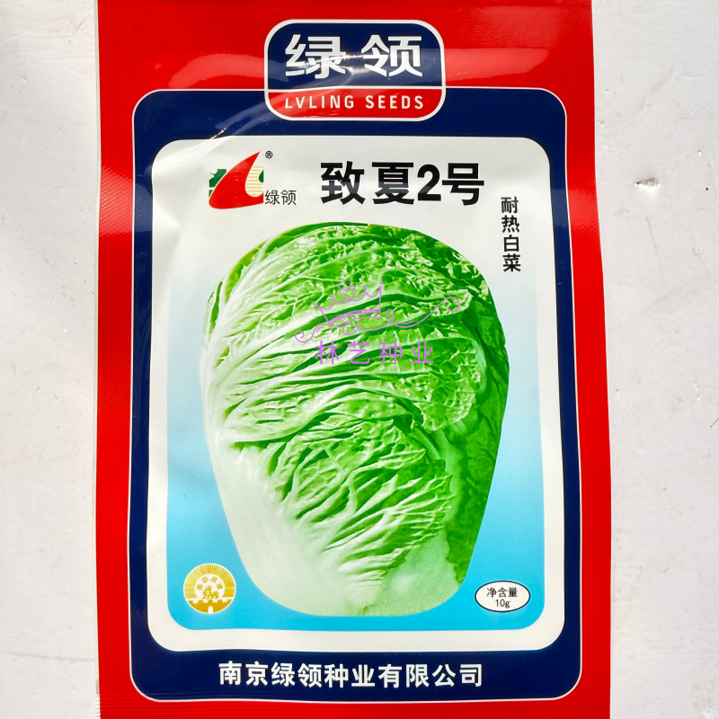 绿领致夏2号耐热白菜种子55天抗高温大白菜种籽叠抱叶绿
