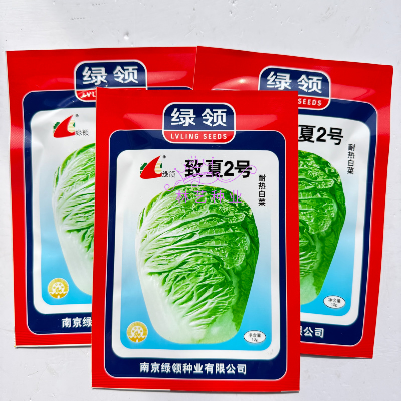 绿领致夏2号耐热白菜种子55天抗高温大白菜种籽叠抱叶绿