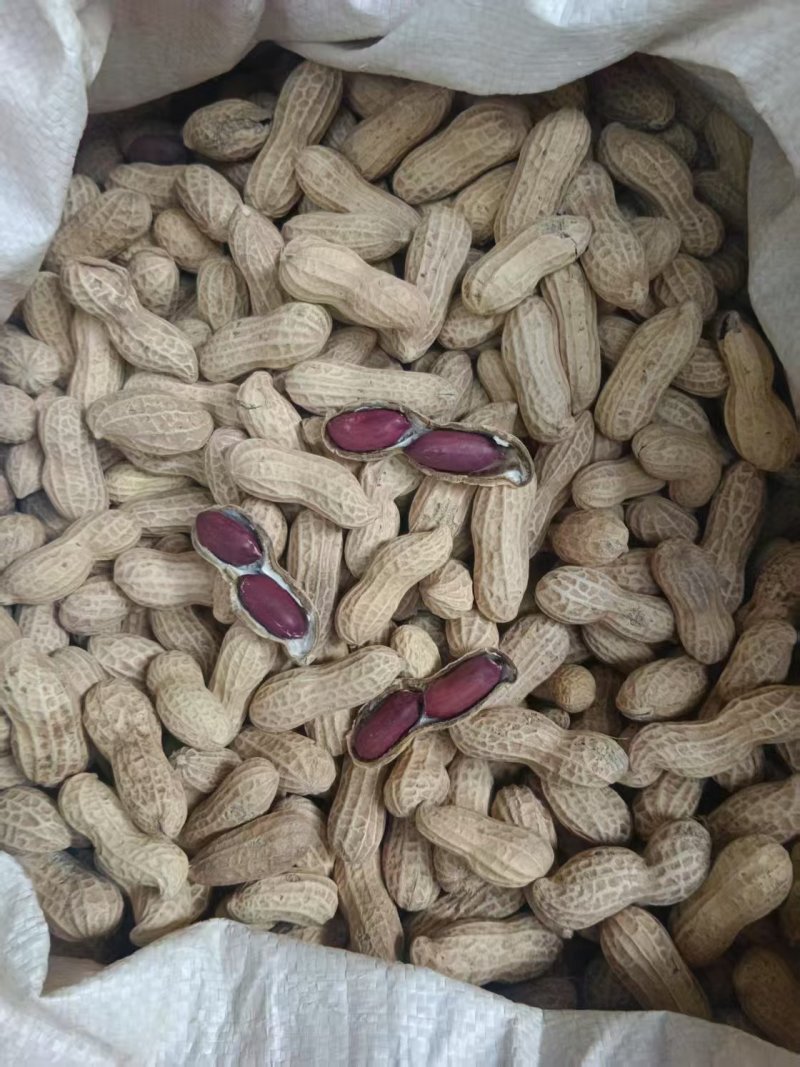黑花生果
