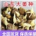 《脱毒姜种》山农一号/368高产王/包回收，送种植技术