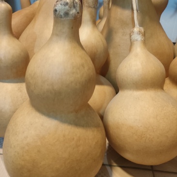 葫芦