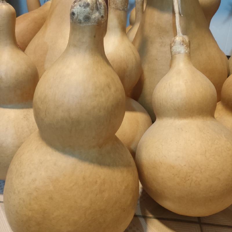 葫芦