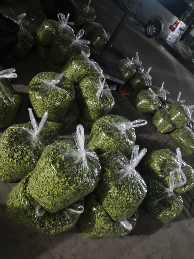 新鲜榆钱，都是农户当天现摘