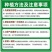 贝贝南瓜秧苗穴盘苗发货根系发达易成活抗病害高产