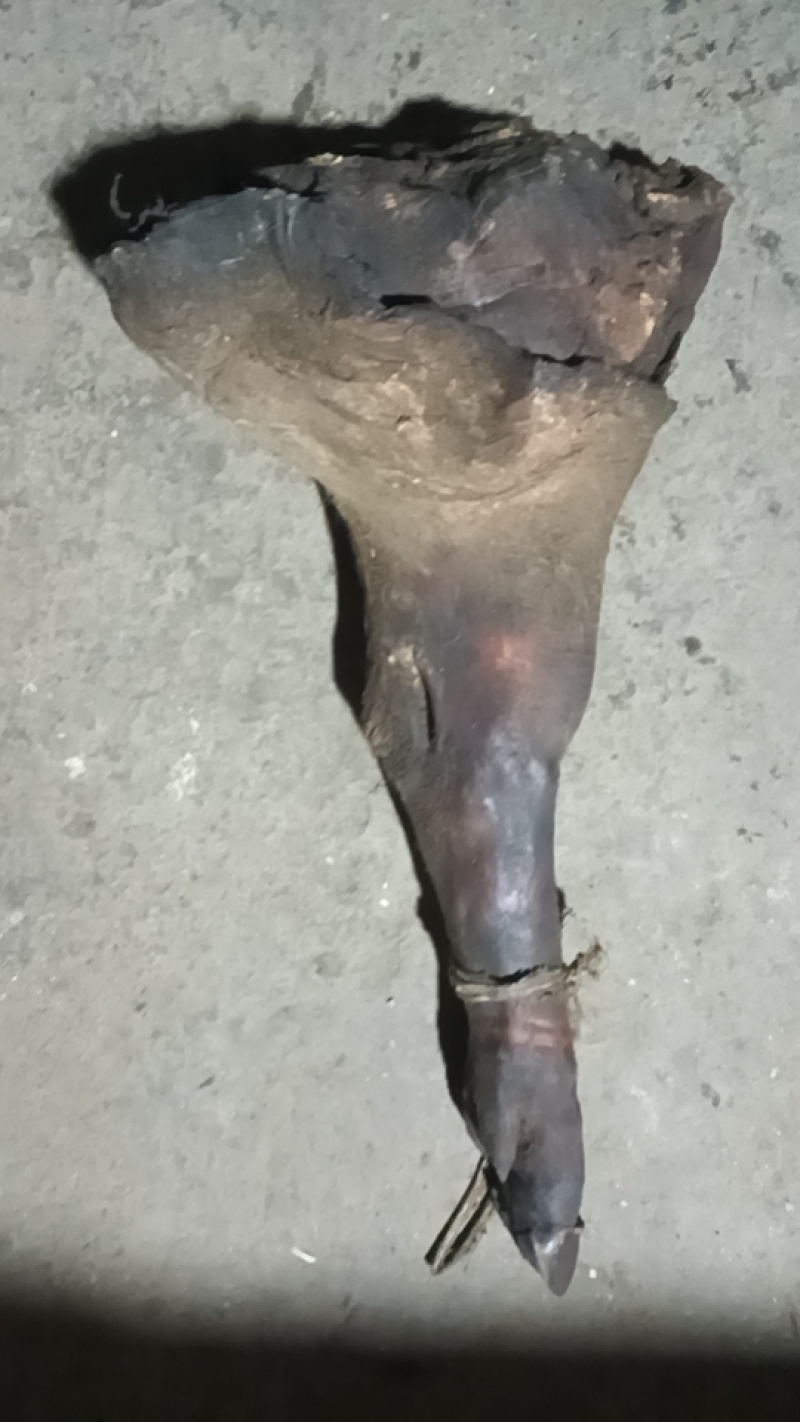 镇巴大山区农家自养纯粮烟熏腊肉