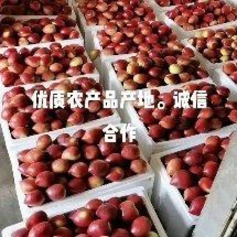 优质农产品产地。批发，一件代发