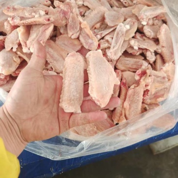 二级鸭翅中5-6吨，5600一吨