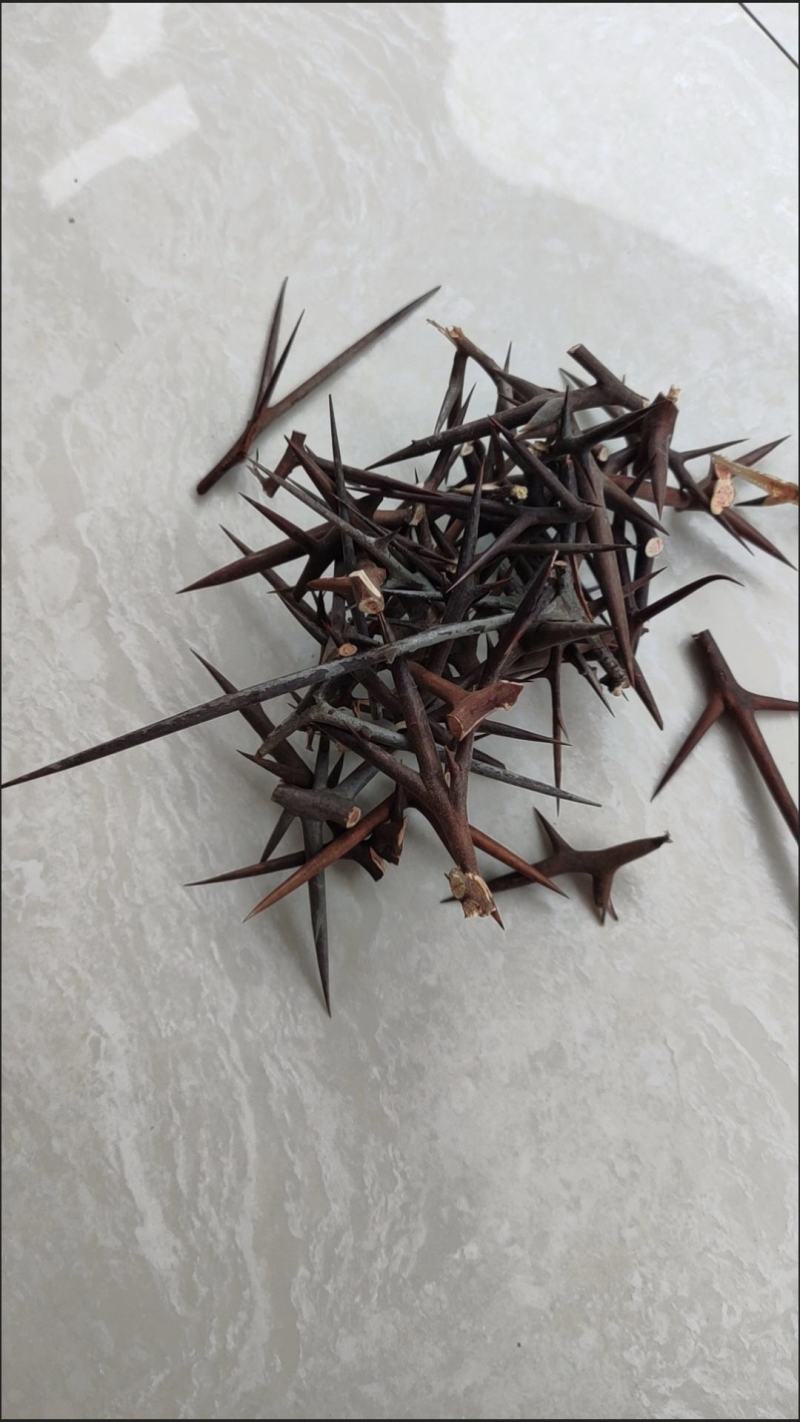 皂角刺中药材皂刺皂荚刺天丁皂角针剪碎保质保真各种批发零售