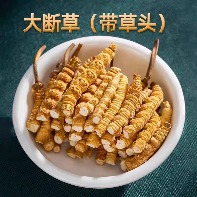 【低价断虫草】西藏那曲冬虫夏草断草批发自己吃泡酒**实惠
