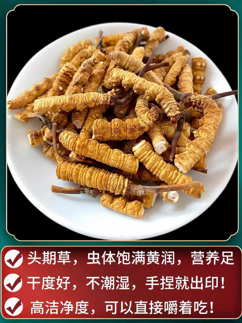 【低价断虫草】西藏那曲冬虫夏草断草批发自己吃泡酒**实惠