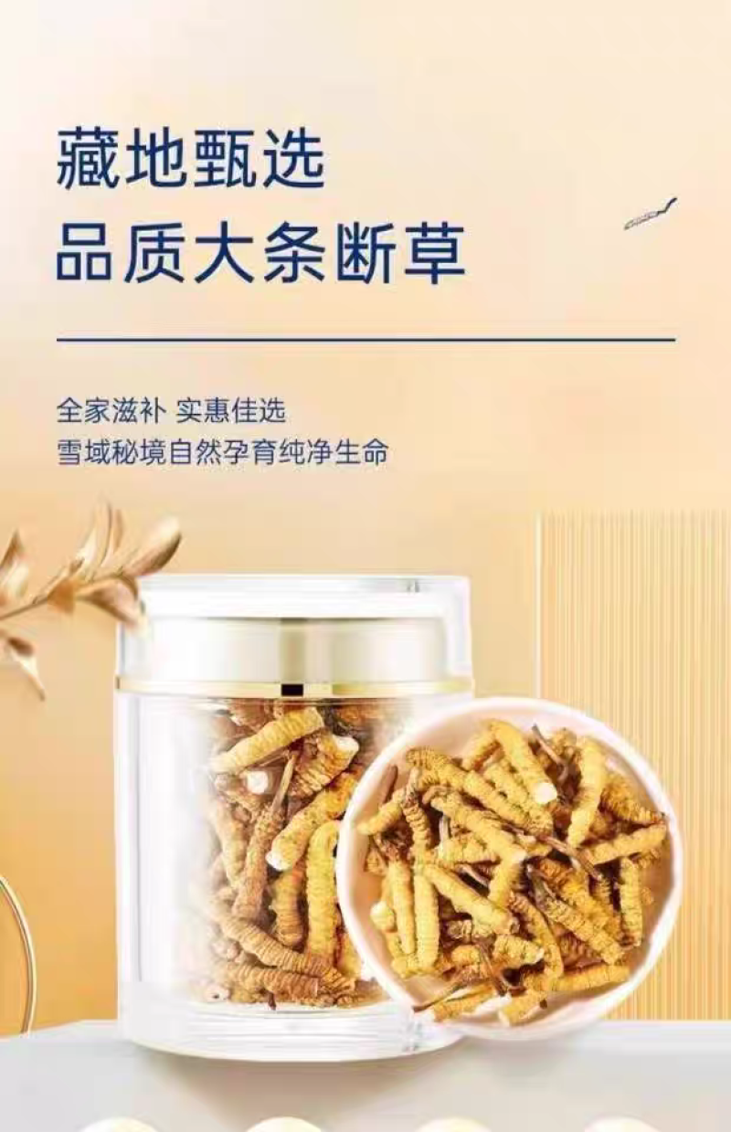 【低价断虫草】西藏那曲冬虫夏草断草批发自己吃泡酒**实惠