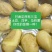 定西土豆