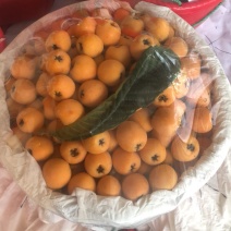 枇杷，五星枇杷