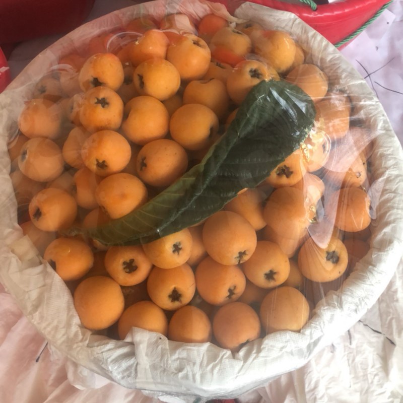 枇杷，五星枇杷
