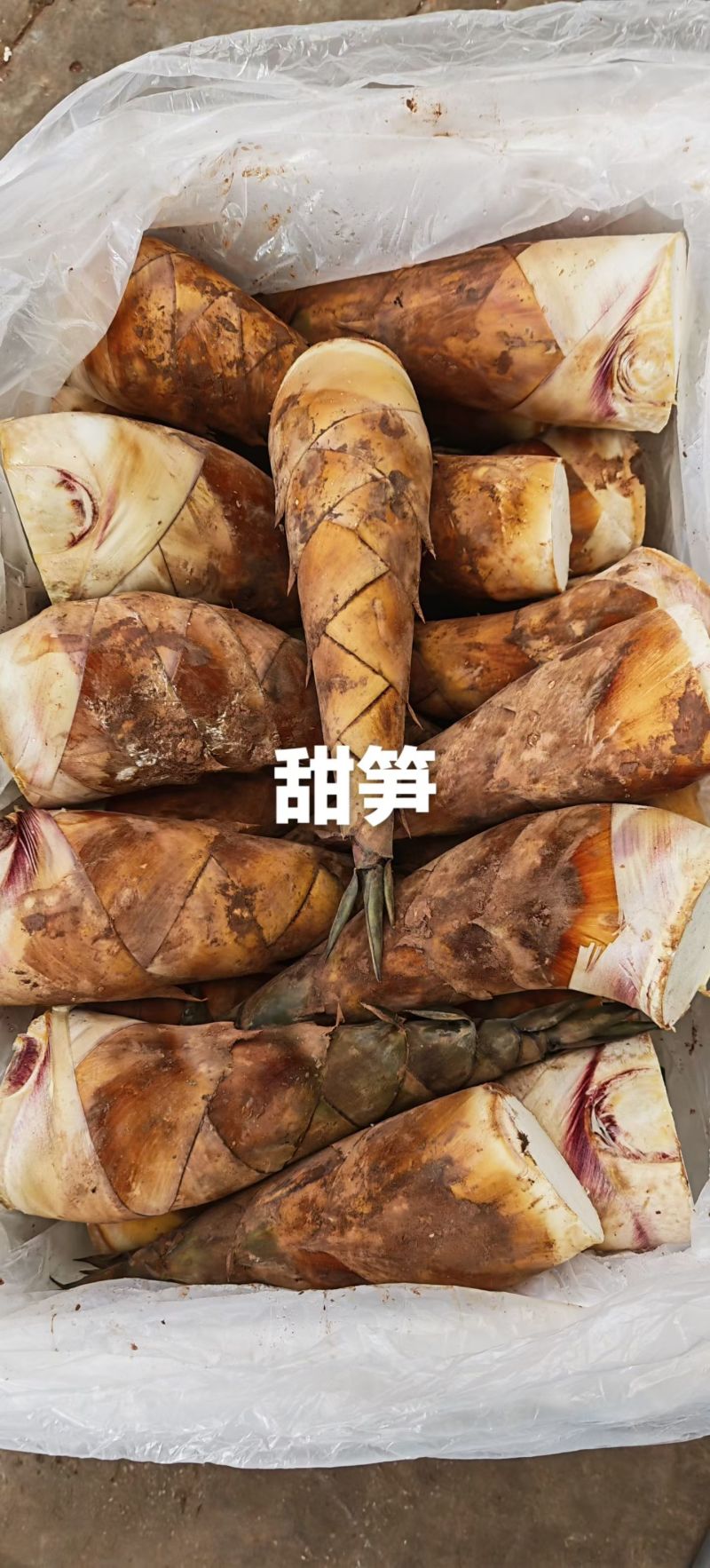 甜笋