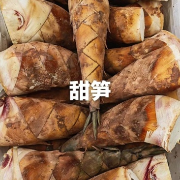 甜笋