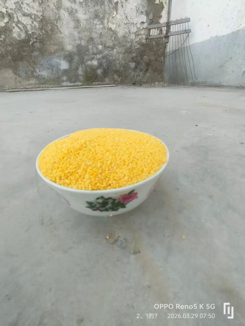 小米品质保证服务周到产地直发价格美丽欢迎联系咨询