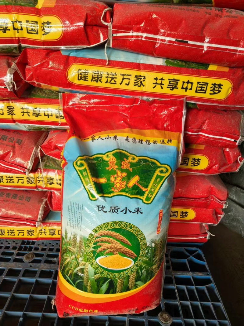 小米品质保证服务周到产地直发价格美丽欢迎联系咨询