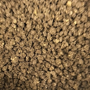 野生猫爪草水洗正宗猫爪草中草药中药材批发零售保质保量
