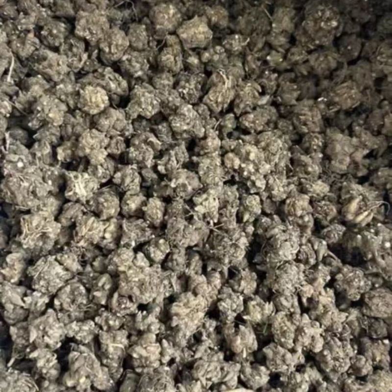 野生猫爪草水洗正宗猫爪草中草药中药材批发零售保质保量