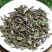 云南西双版纳猫须草新鲜当季中药材批发零售各种规格保质保量