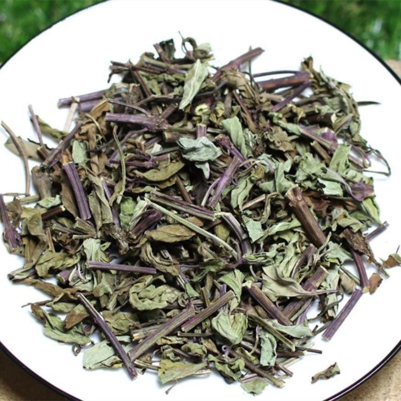 云南西双版纳猫须草新鲜当季中药材批发零售各种规格保质保量