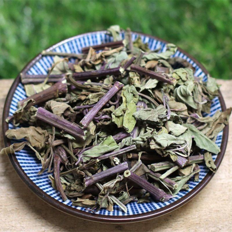 云南西双版纳猫须草新鲜当季中药材批发零售各种规格保质保量