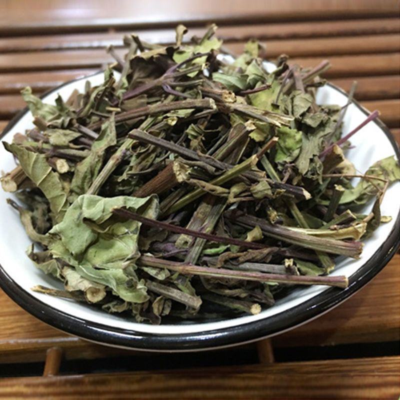 云南西双版纳猫须草新鲜当季中药材批发零售各种规格保质保量
