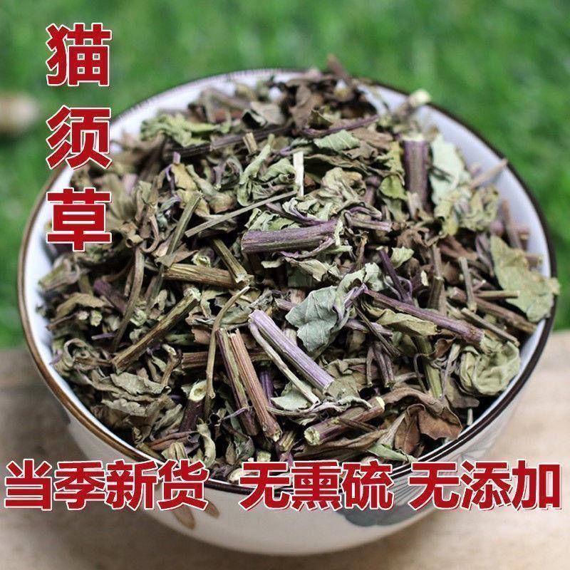云南西双版纳猫须草新鲜当季中药材批发零售各种规格保质保量