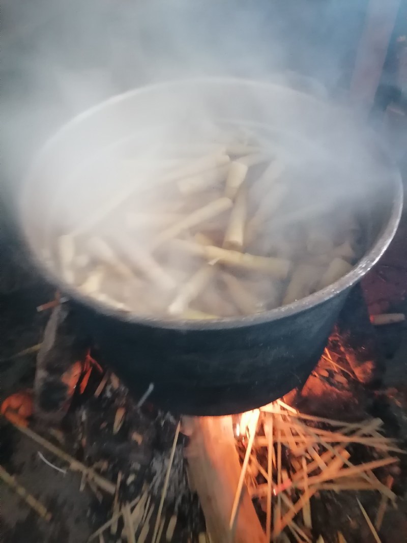 桂华江猫儿山深水煮香La摆竹笋