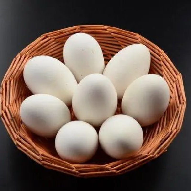 鳄鱼蛋
