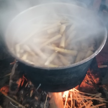 桂林华江猫儿山深山水煮香辡摆竹笋