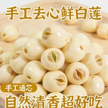 新鲜去心白莲子湿白莲可零可批可一件代发全国各地发货