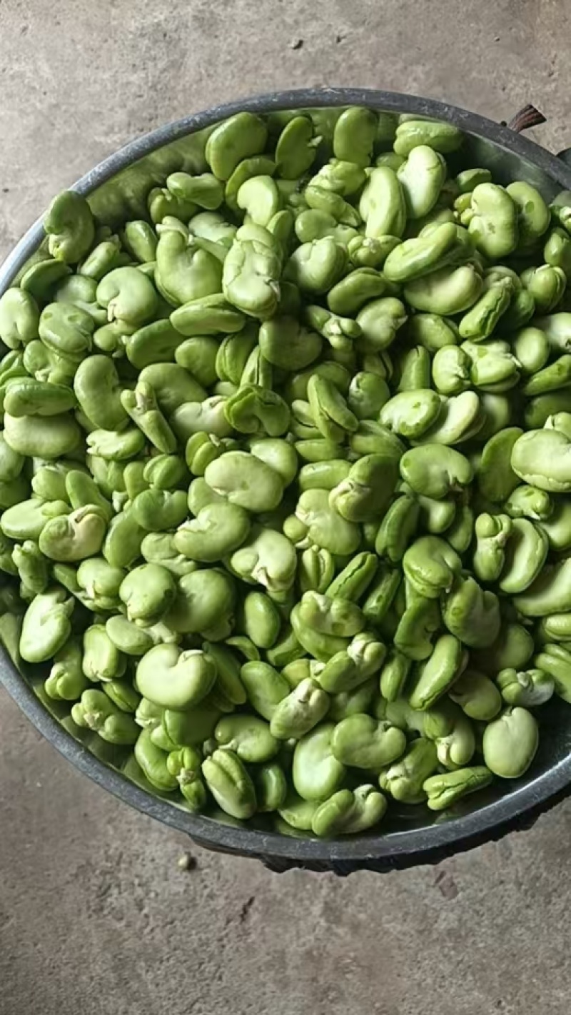 豆米