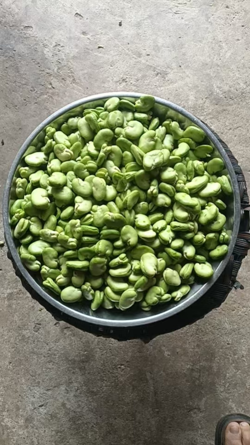 豆米