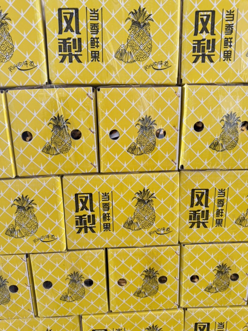 海南金钻17号凤梨一件代发，海南原产地直发