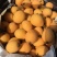 莆田早钟六号枇杷