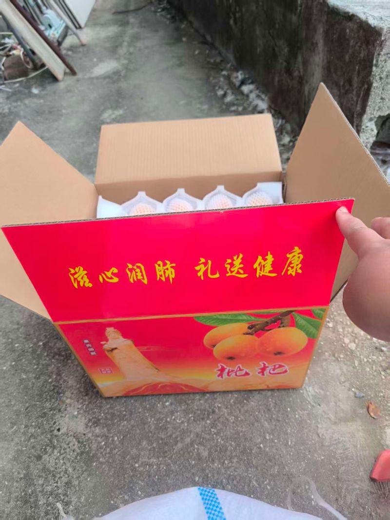 莆田早钟六号枇杷