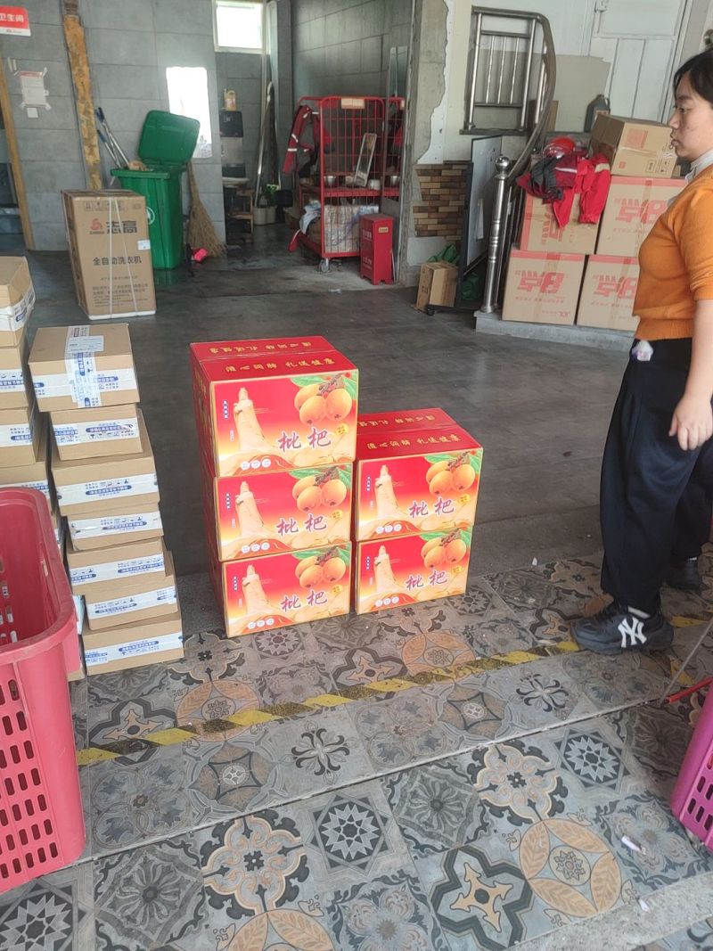 莆田早钟六号枇杷