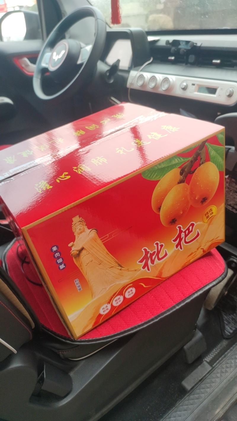 莆田早钟六号枇杷