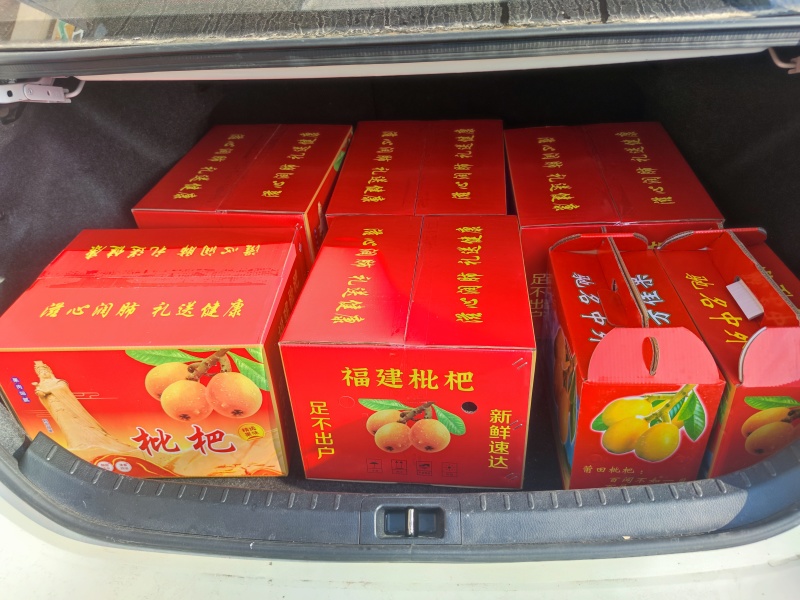 莆田早钟六号枇杷