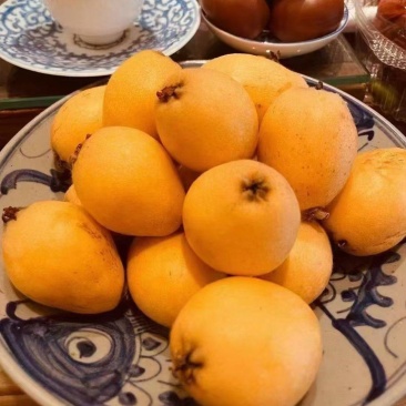 莆田早钟六号枇杷