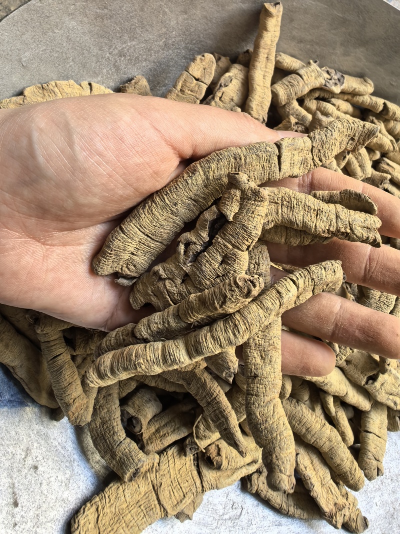 巴戟天巴戟肉抽筋无硫只卖好货品质保证价格实惠