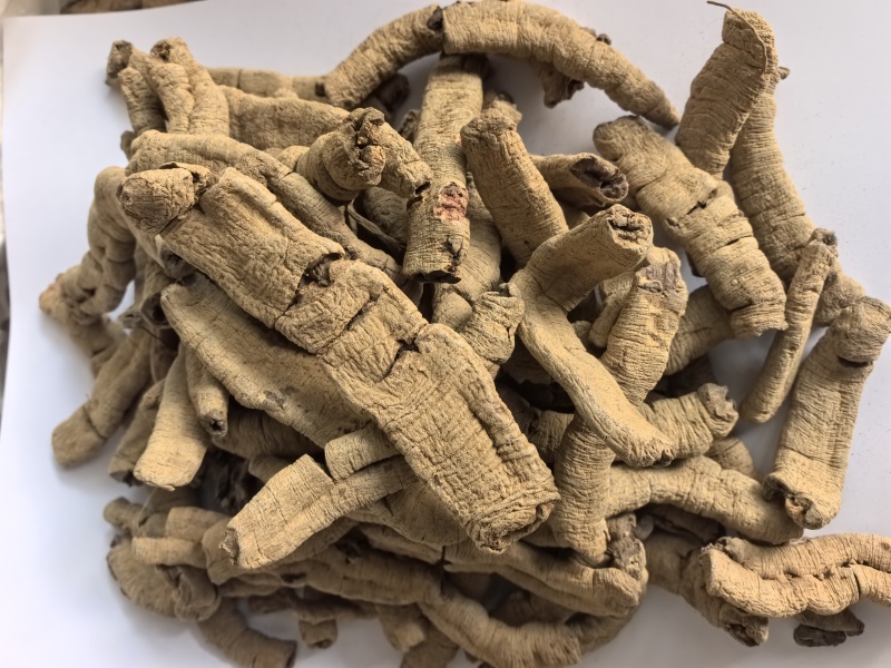 巴戟天巴戟肉抽筋无硫只卖好货品质保证价格实惠