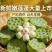 海南新鲜水果莲蓬，基地直供全国各地发货莲蓬莲子