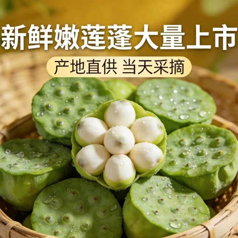 海南新鲜水果莲蓬，基地直供全国各地发货莲蓬莲子