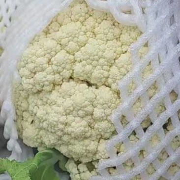 松花有机花